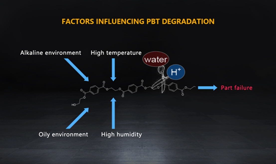 Factors Influencing PBT Degradation 